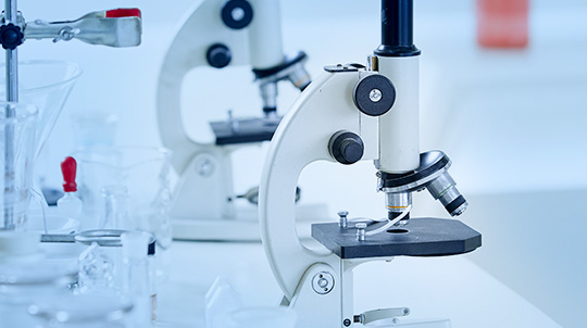 腾博会官网 - 诚信为本,专业服务!